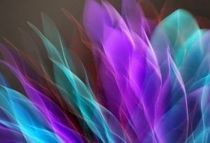 Vương quốc người chơi 